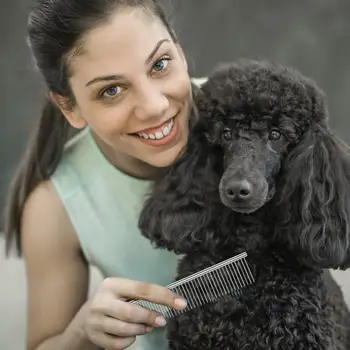 Pet Köpek Saç Kesim Makas Seti paslanmaz çelik makaslar Düz Diş Kesim Pet Kiti Köpekler Bakım Saç kesme makası Seti Güzellik Aracı